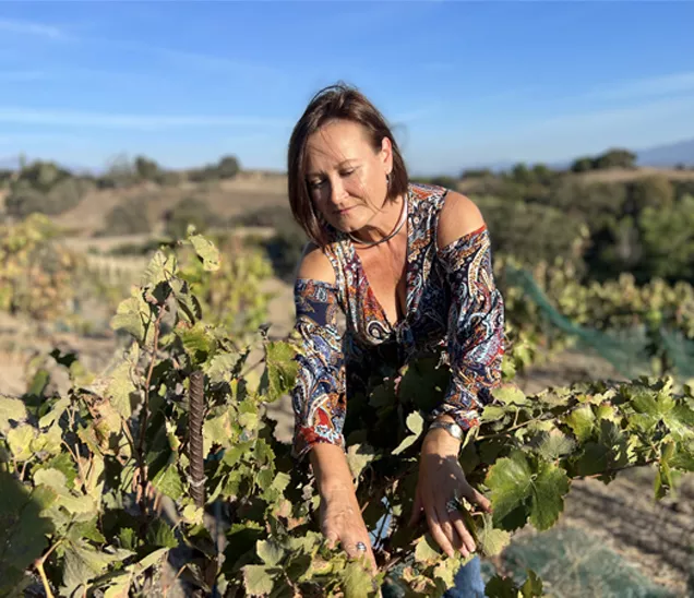 woman taking care of a vine and looking for grape clusters